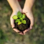 qnet-sustainability-101-series-1