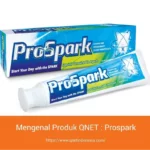 mengenal_produk_qnet_prospark_qnet