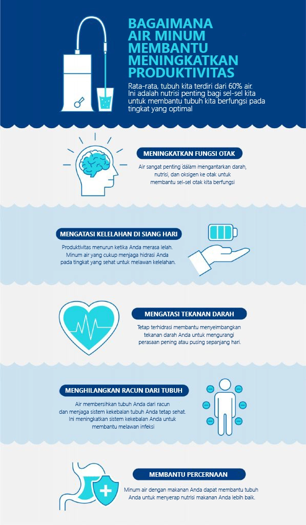 How Does Drinking Water Help Productivity Infographic 597x1024 INDO