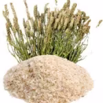 psyllium husk