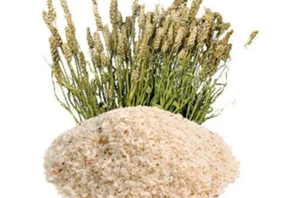 psyllium husk