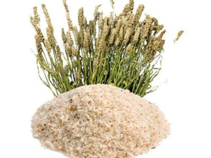 psyllium husk