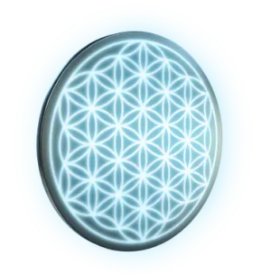Amezcua flower of life 310x304 1 1